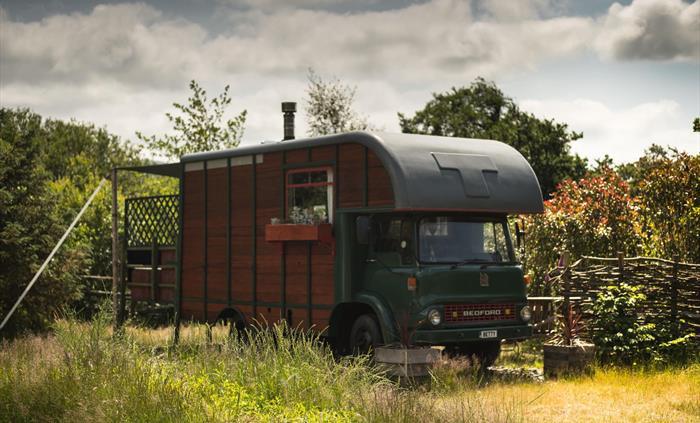 Betty Horsebox